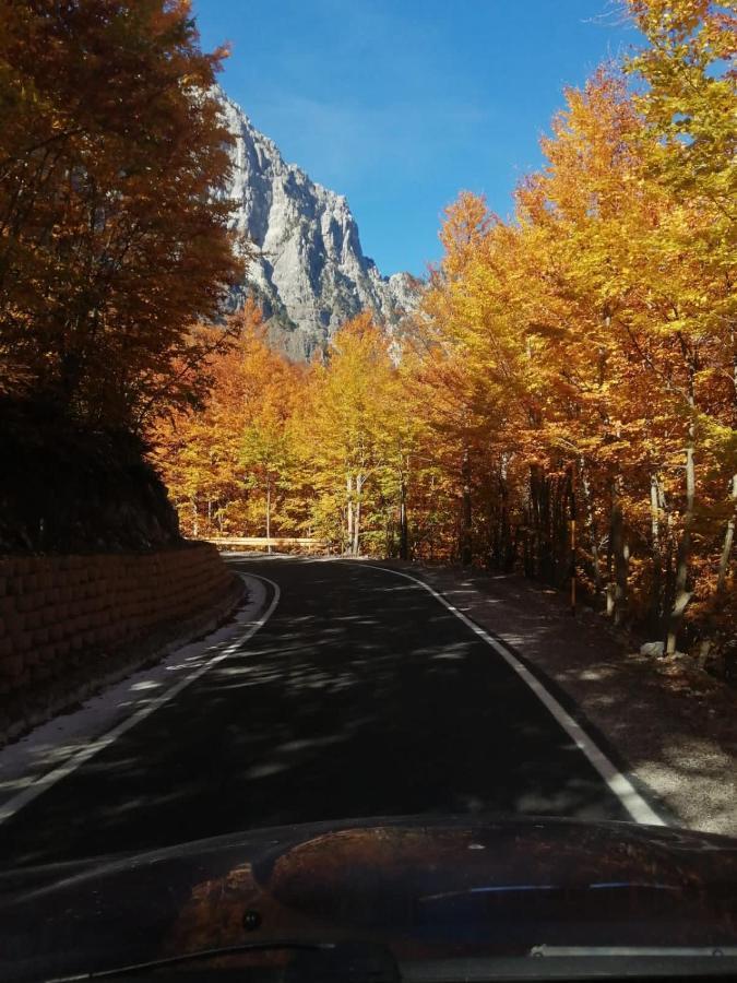 Bujtina Pllumi Theth Bed & Breakfast Dış mekan fotoğraf